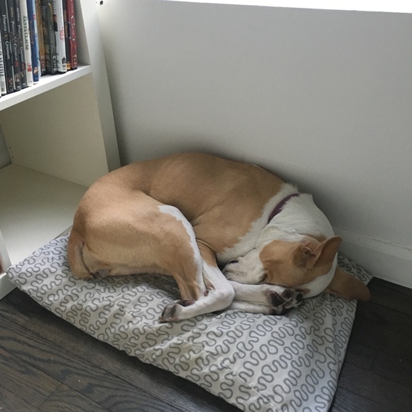 Meet your Posher, Diana - Picture 9 of 16